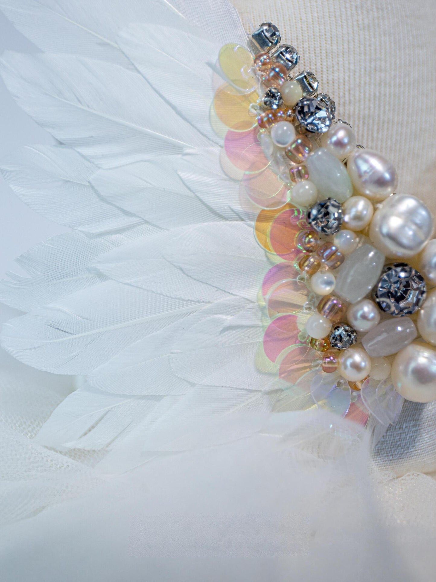 Swan